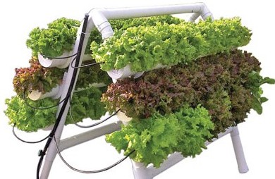 hydroponics