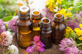 Essential Oils - A Beginner Workshop for Adults @ Library Meeting Room | San Rafael | California | United States