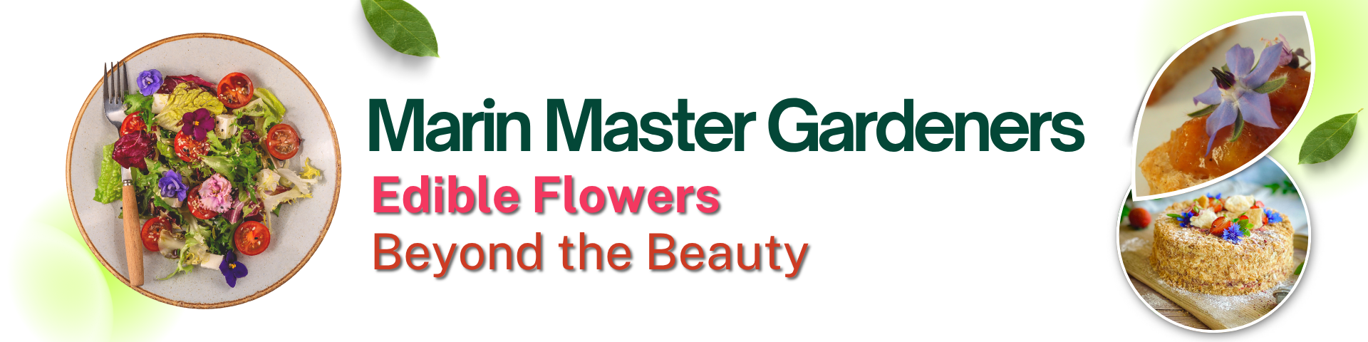Marin Master Gardeners - Edible Flowers--Beyond the Beauty @ Downtown San Rafael Library