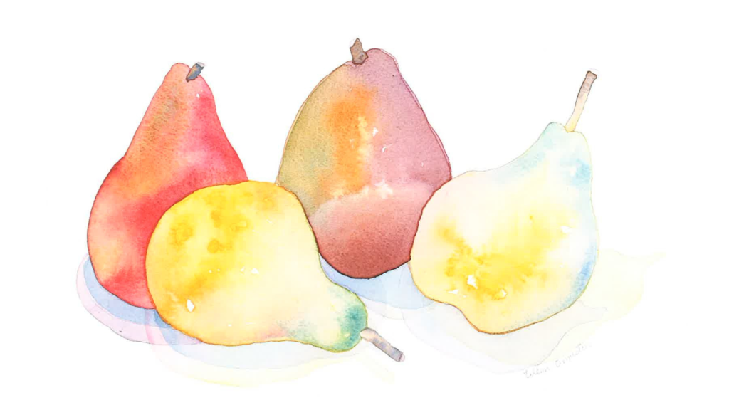 A watercolor painting of several pears.
