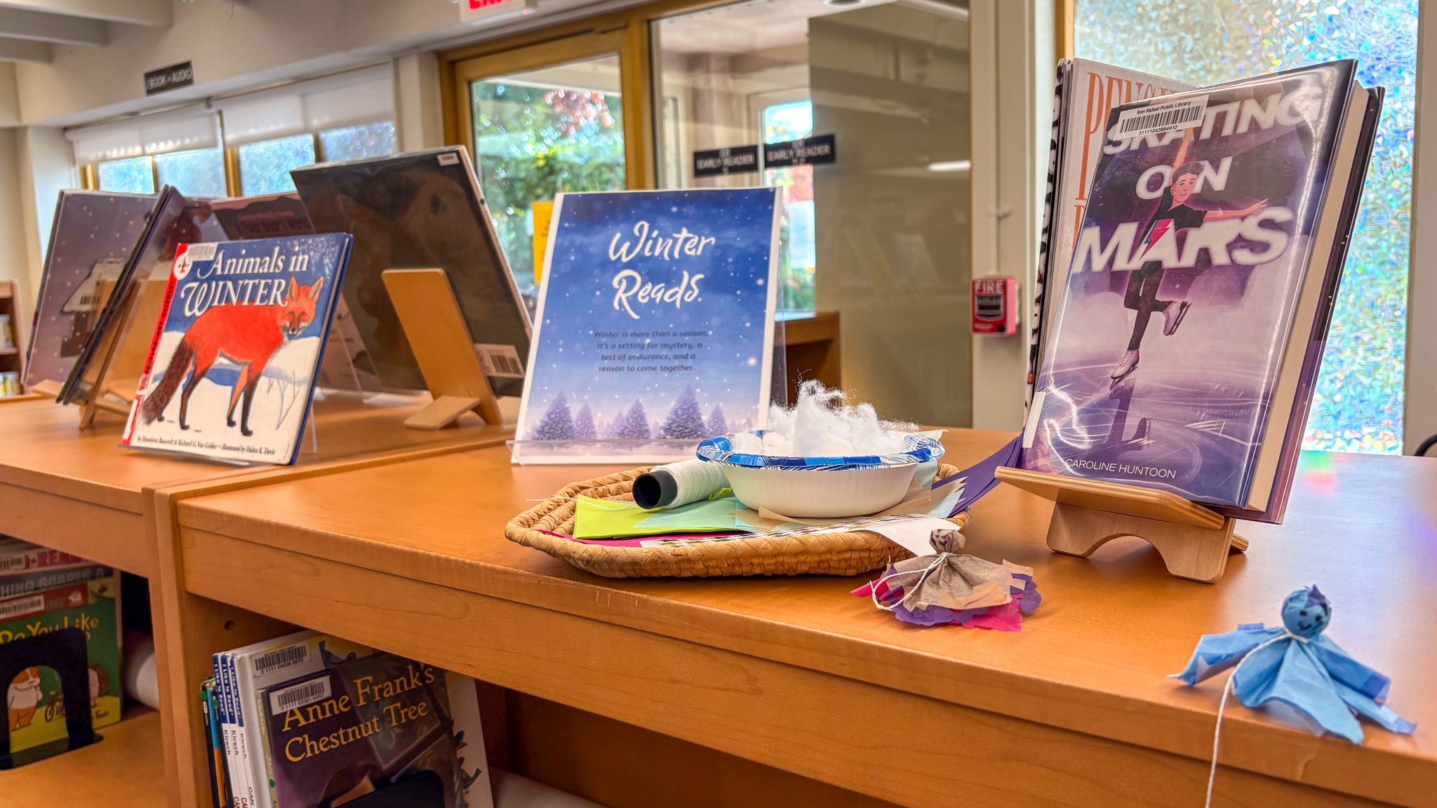 Winter Reading Display and Craft
