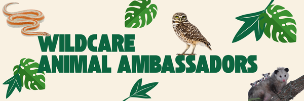 Wildcare Animal Ambassadors @ Al Boro Community Center
