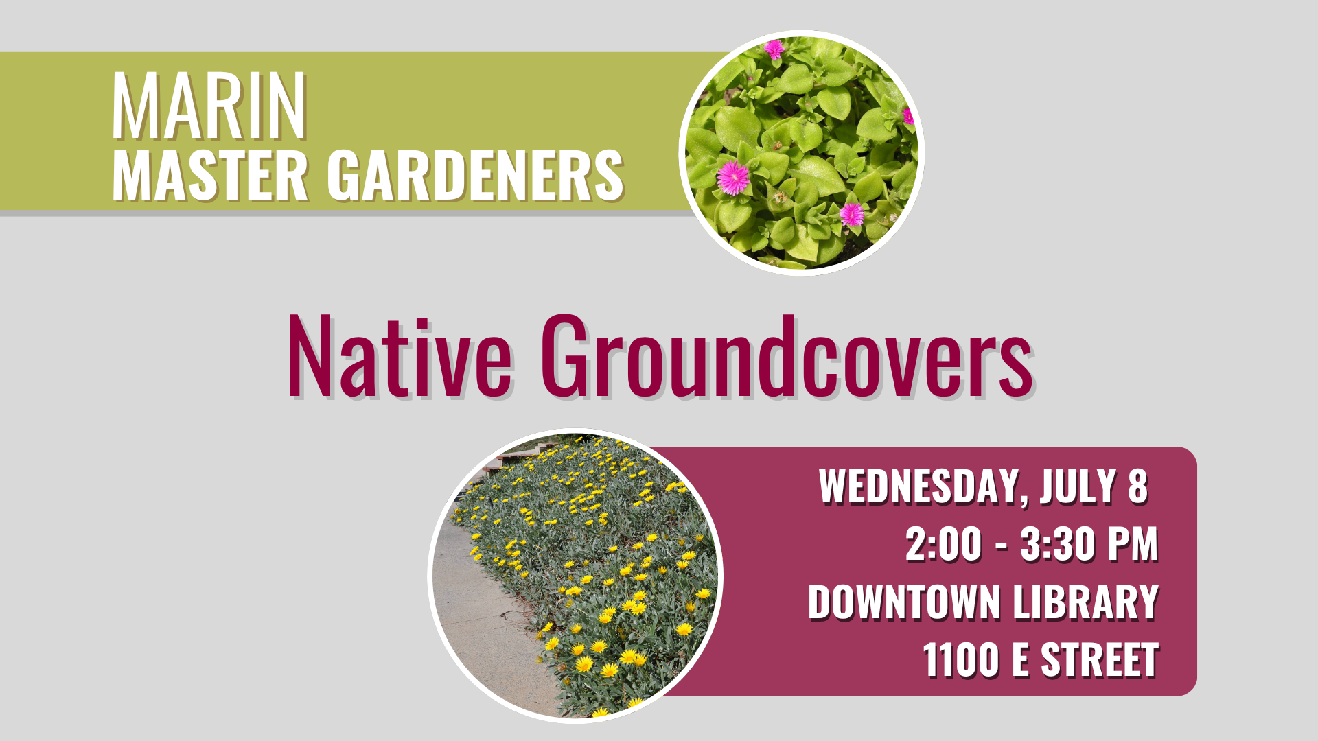 Marin Master Gardeners: Native Groundcovers